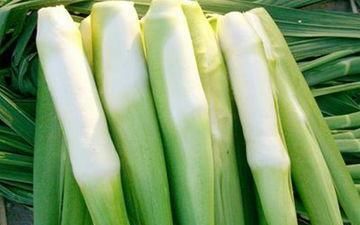  重样|会吃的人受益，3种食物不重样，软化角质层， 防止皮肤老化