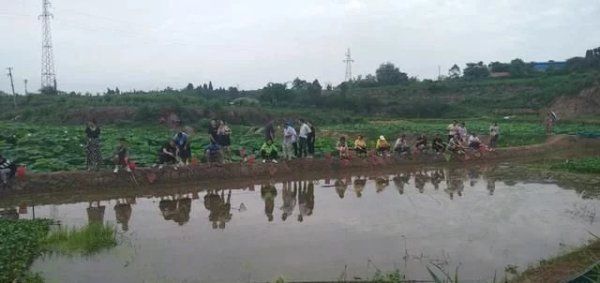  大篷车|开机！四川卫视《乡村大篷车》走进井研