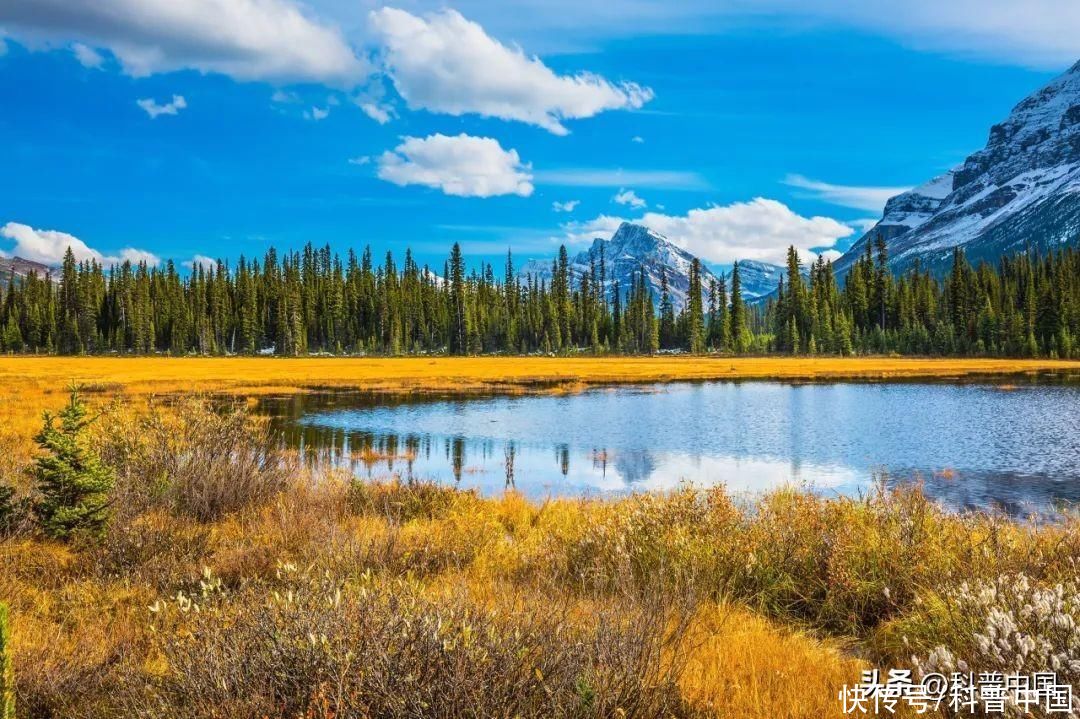 为什么绿水青山就是金山银山(为什么“绿水青山就是金山银山”？)