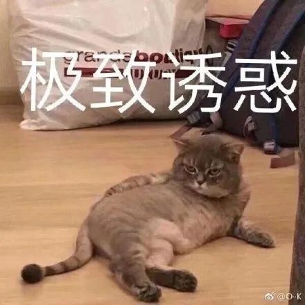 允中|炸炸炸!就算热量爆炸我也要吃这家允中炸菜!