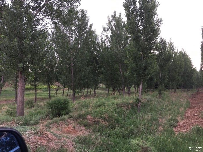 自动驻车|细雨绵绵，野外拉练爱车哈弗H6，附车身配置和外观报告！