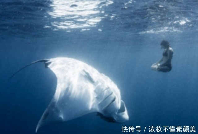 照片|这些照片真的没有经过任何PS处理,每一张都让人腿软!