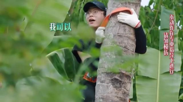 尴尬|《向往》中情商最低的嘉宾何炅和黄磊都带不动,大写的尴尬