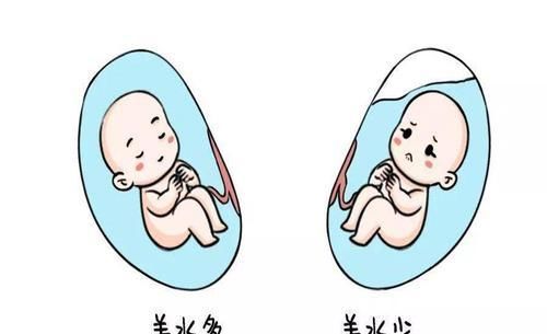 怀孕|“假孕妈”被逼让座，一张纸的“无意”飘落，让在场众人哑言