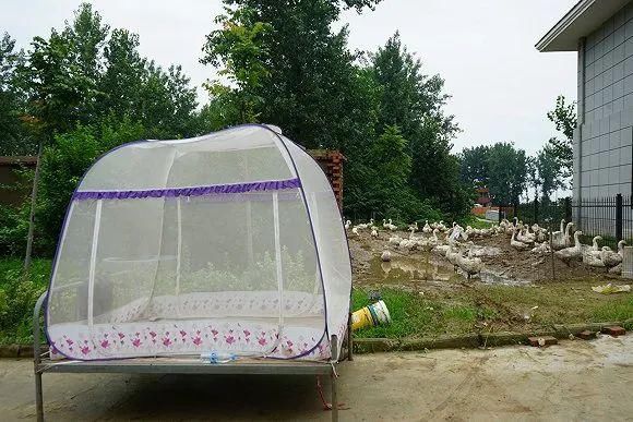 开闸蓄洪|带走与带不走的：淮河蓄洪区两千居民的撤离与留恋｜正午