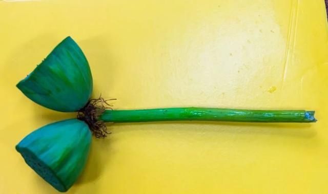 南京|南京“网红”玄武湖并蒂莲被游客摘下,网友怒了