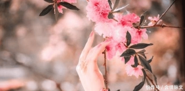  夸妻|纳兰性德最肉麻的一首词，开篇7个字惊艳世人，堪称夸妻典范