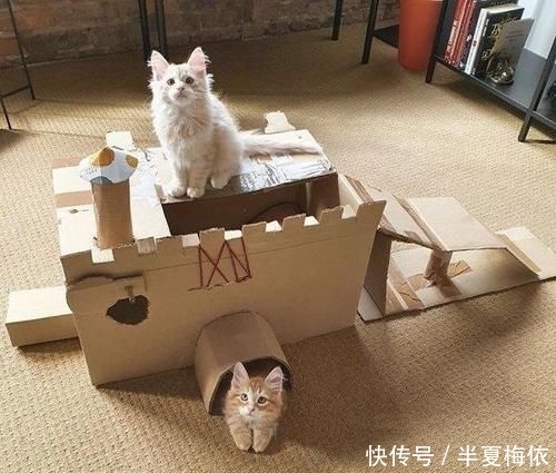 豪华|有才!外国网友用废纸箱,给喵星人打造豪华城堡