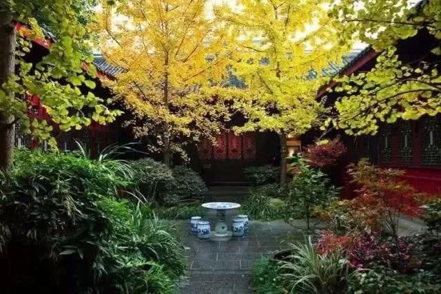  花园|有庭院的人，一定会懂生活