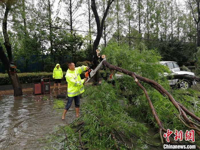 倒伏|强降雨致河南漯河城市内涝、树木倒伏严重