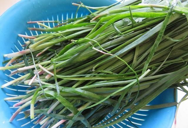  回锅肉|丈夫调饺子馅，韭菜里加了它，又香还不腻口，我一口气吃30个