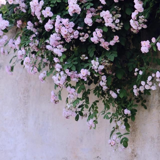  身边|其实和好如初，挺难的！