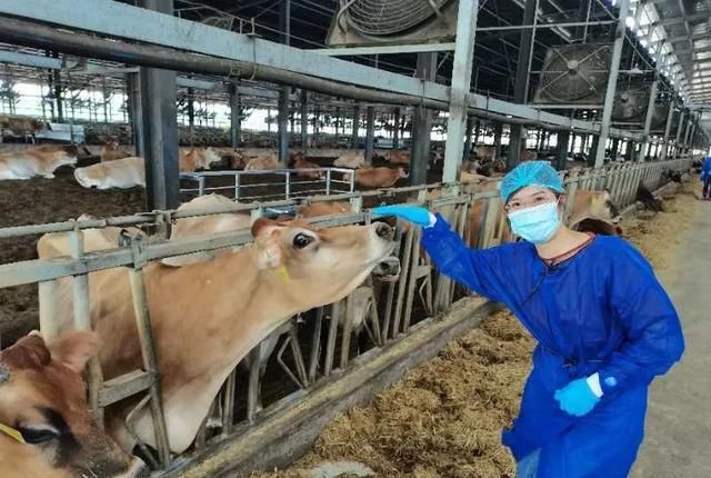 供应链管理|走近新职业丨吃货看过来!这里有份工作可以让你吃个够