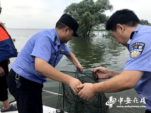  工作|枞阳：严打非法捕捞行为 行政处罚4人