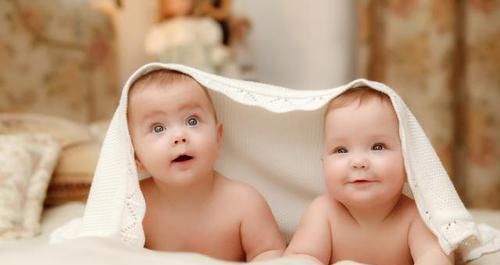  环境|双胞胎：同样的父母，同样的环境，为什么性格会不一样