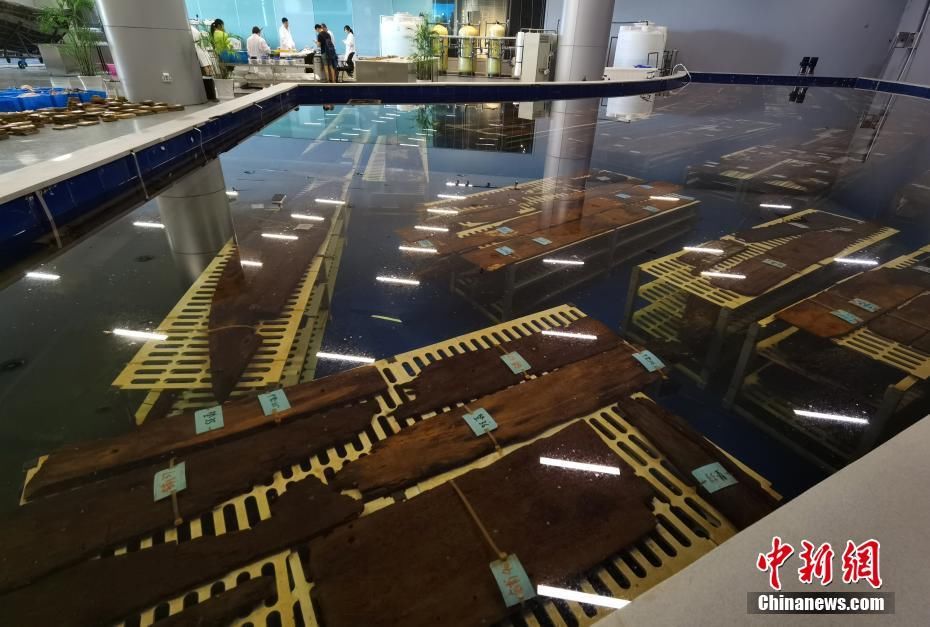 广货行天下发布会