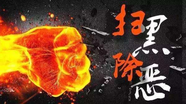  主犯|桐柏公安打掉的白某某恶势力犯罪集团主犯被判13年罚金45万