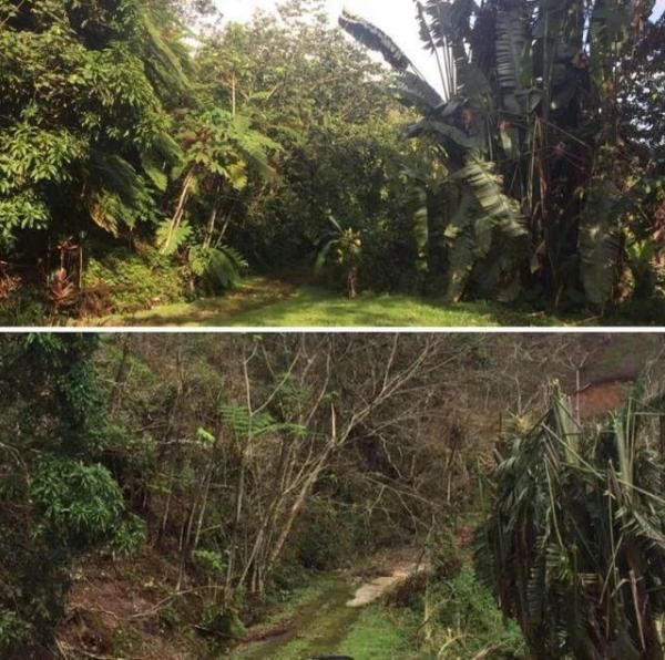 垃圾|好好分垃圾吧！看看被气候变化毁掉的绝世美景，真心疼