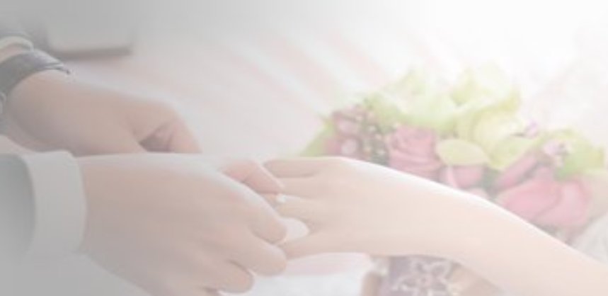 愚蠢的人|爱一个人可以有点蠢，但不能真蠢