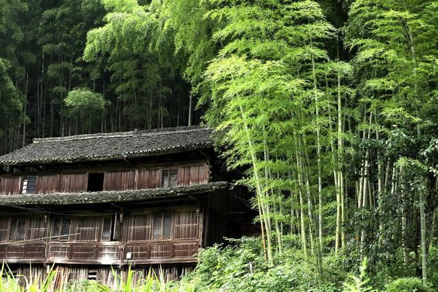  地基|河畔老屋：十万元就想买我的老屋，还连地基？十万元可以站十分钟