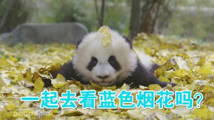 故事|出彩“滚滚” | 你有你的“三十而已”,我们的三十又是另一个故事~