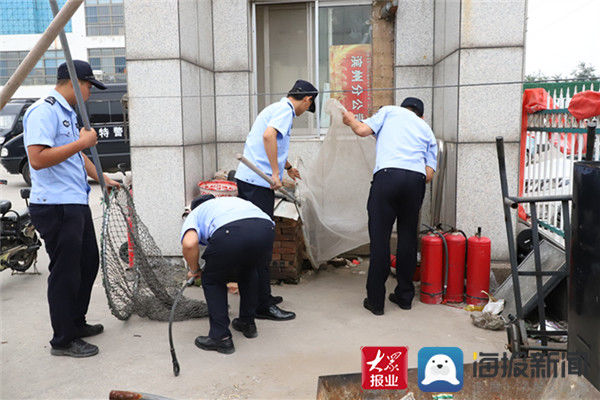  文明养犬|接举报散养犬只抓伤路人 滨城公安快速行动为市民消除安全隐患