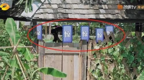  期节目中|《跑男》导演频繁露脸不打码，《向往》导演组却经常打码，原因是什么？