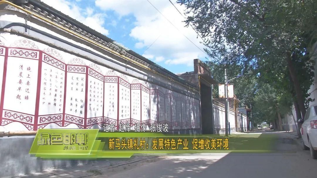 扶贫|【扶贫路 产业经】邱县新马头镇：生态宜居乡村美 产业富民生活甜