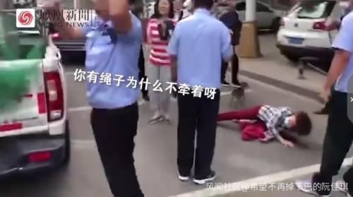 执法人员|女子遛狗不栓绳，狗被抓走后倒地嚎啕大哭我有绳