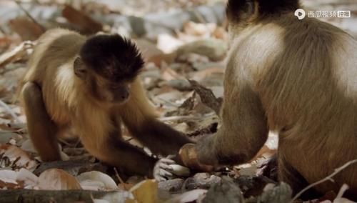  佳作|豆瓣预定超9分的佳作：原来我们错过许多惊喜，真遗憾没早点看到