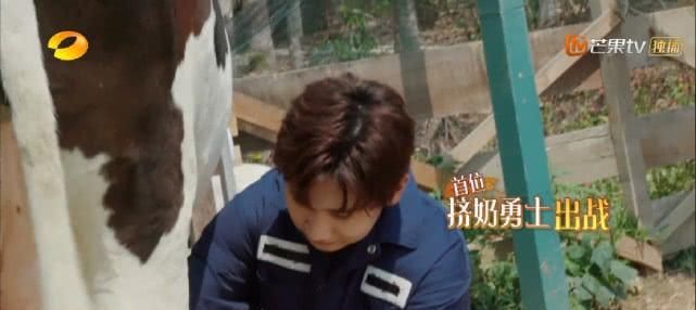  真的|周迅吃2碗饭不怕胖，宋威龙助薇娅卖水果，半小时卖570万元真的吗