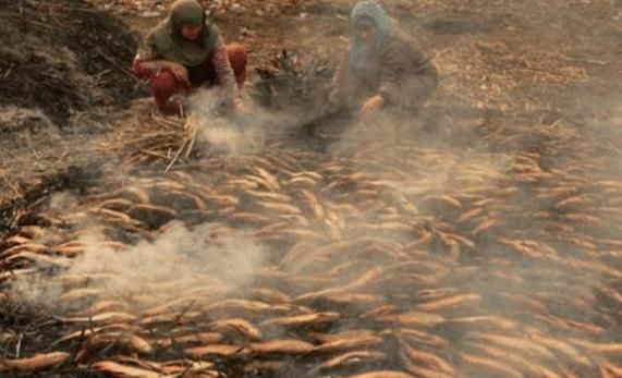 中国|印度的“顶级”美食,号称可以打败中国美食,网友看到后笑了