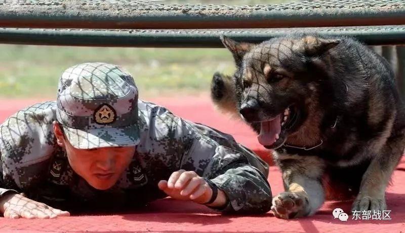 方法|盘点2019年十大涉军谣言,方法翻新危害十足