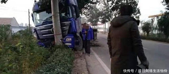  保险公司|朴树被“撞断”树枝，司机要赔13.7万！