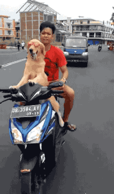 恶性竞争|搞笑GIF:这就是恶性竞争呀,谁都没得到好