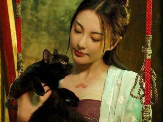  五仙教|《猫妖传》春琴很美，张雨绮在《新笑傲江湖》的教主扮相更飒