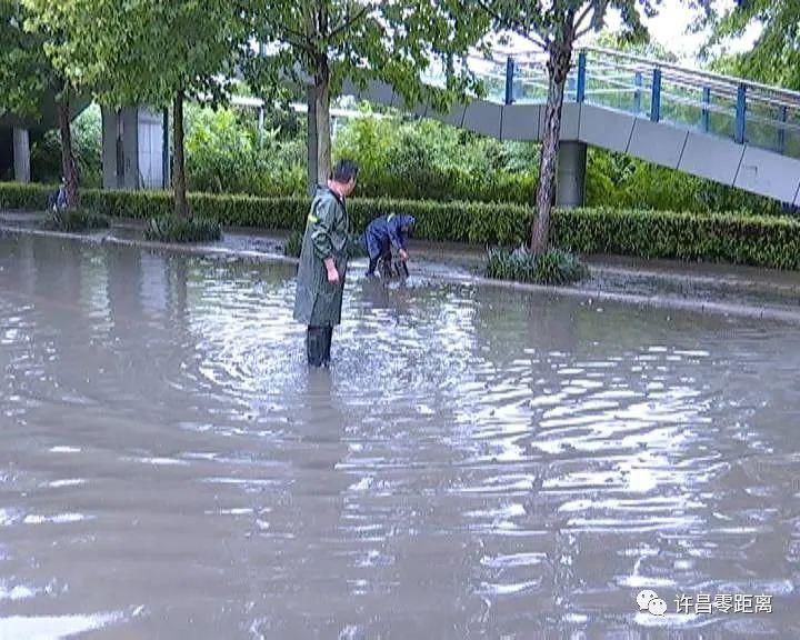 清扫|暴雨突袭！排水、清扫……他们在行动！