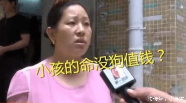  咬伤|6岁男童被狗咬伤 反被赔狗主人索赔2万：小孩的命没狗值钱？