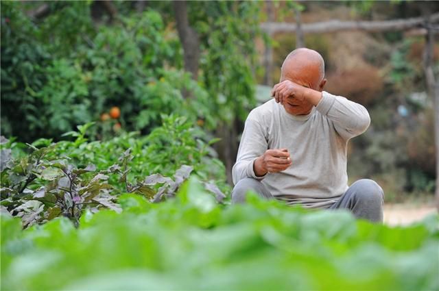 陆大妈|年轻人不愿意赡养老人的4个原因，一个比一个现实扎心，有你吗？