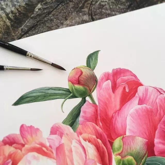  全职|一位全职妈妈喜欢疯狂画画，教你画水彩花卉