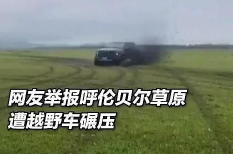 回去|热议！男子开车碾压草原被罚把草种回去，网友：简直是自罪自受