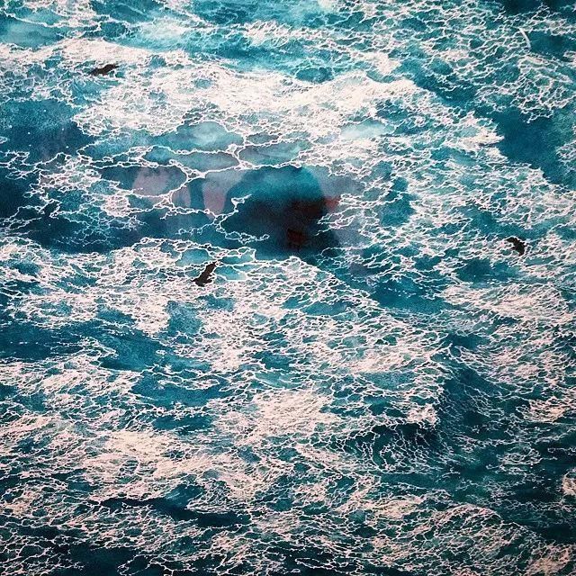  极致|一幅画画了3年，细到要用放大镜，他把钢笔画玩到了极致！