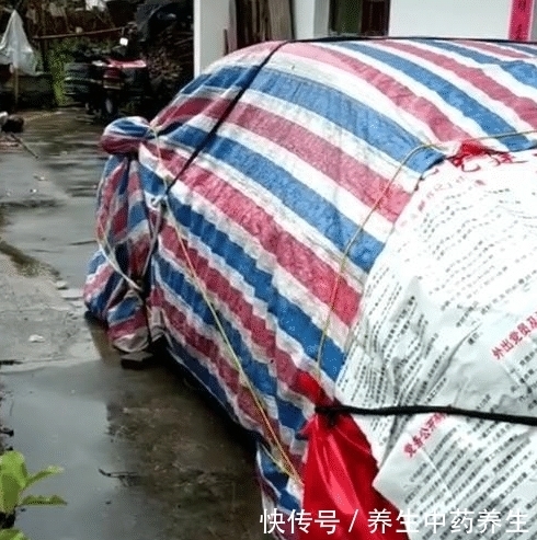 购买|男子购买新车,一周后被村里大妈吐槽:又不是豪车,装什么装?