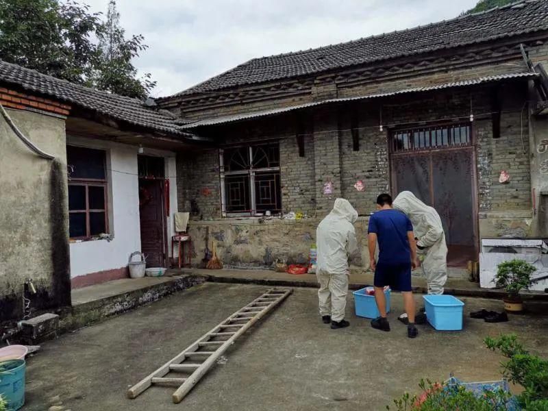  即将|金寨南溪这儿有一个马蜂窝，战斗即将开始！