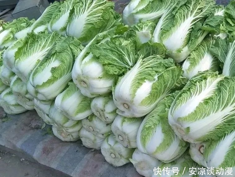 酸菜|东北对腌酸菜的执着,绝对是真爱