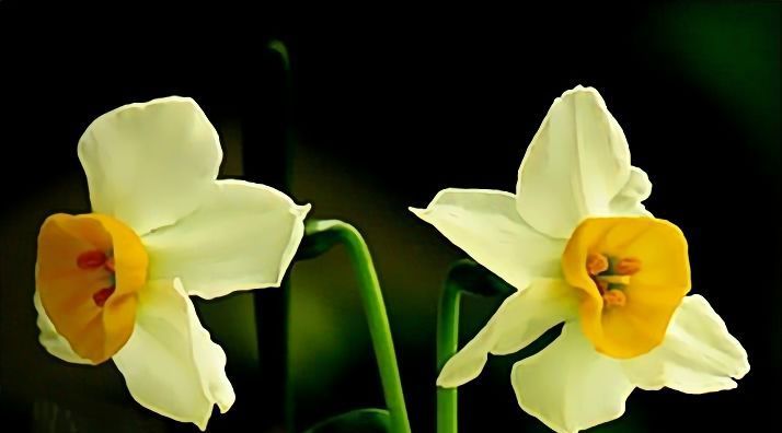 属相|8月开始横财滚滚来,事事顺心,美梦能成真的四大属相