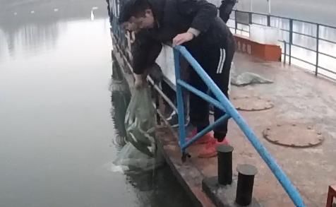  非法捕捞|非法获利86500余元...