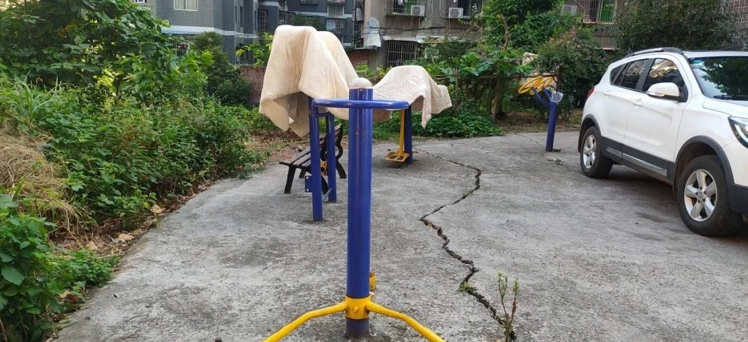 共享|争做城市“啄木鸟”,共享幸福单县城!