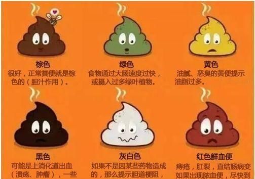 肠道的健康|从大便反映肠道健康,用3招自测身体到底健不健康,还不来试试?