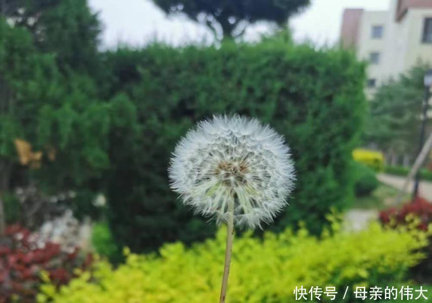 小雅|父母要彩礼女儿坚持不要，结婚该要彩礼吗？3个女人给出答案